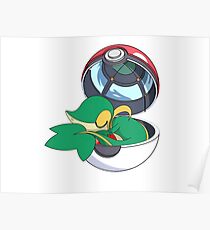 SnivyBall Poster