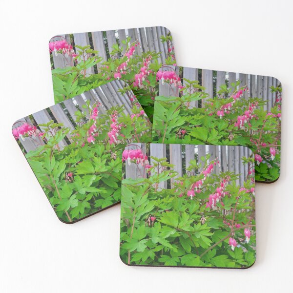 Item preview, Bleeding Heart. Flowers, Spring Vibes, Beautiful Blooms designed and sold by 10pmCreations.
