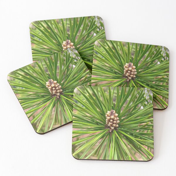 Item preview, Shortleaf Pine New Year's Growth designed and sold by Max Kindly.