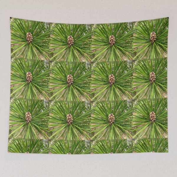 Item preview, Shortleaf Pine New Year's Growth designed and sold by Max Kindly.