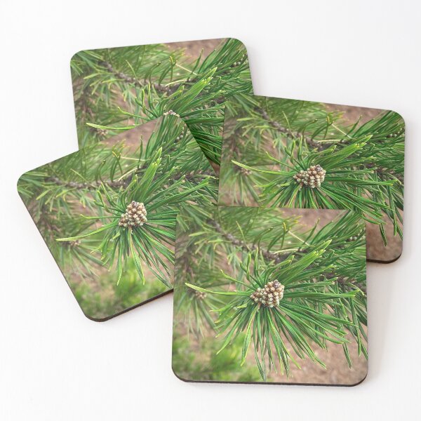 Item preview, Shortleaf Pine Spring Branches designed and sold by Max Kindly.
