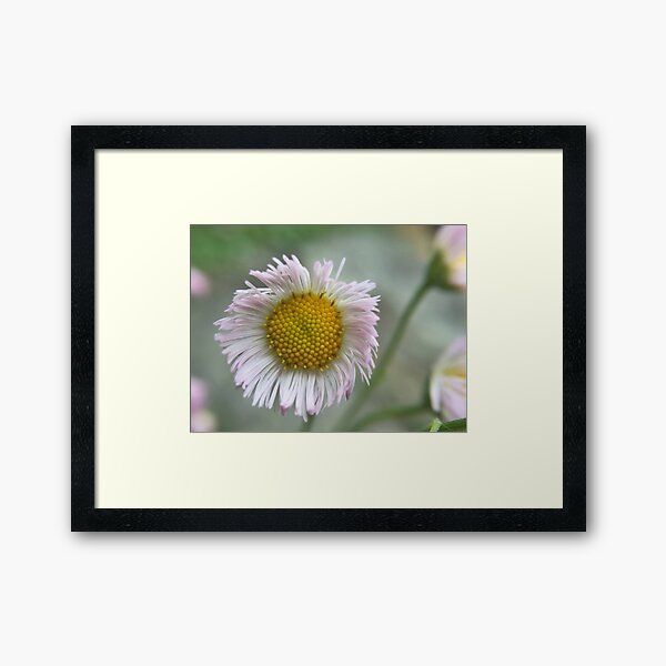 Flower Framed Art Print