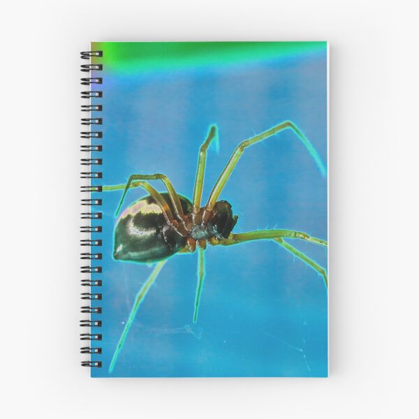 Item preview, SPIDER designed and sold by GingerMan2550.