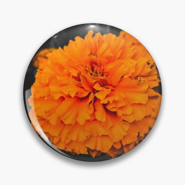 Item preview, Marigolds designed and sold by ALittleDesign.