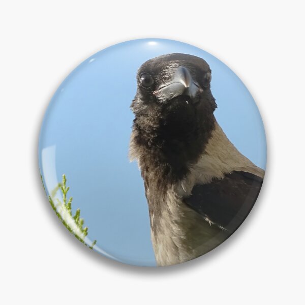 Item preview, Hooded crow designed and sold by Babbler01.