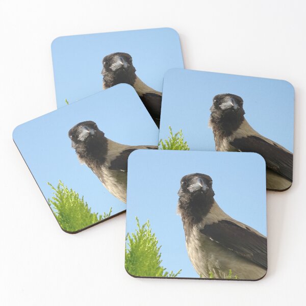 Item preview, Hooded crow designed and sold by Babbler01.