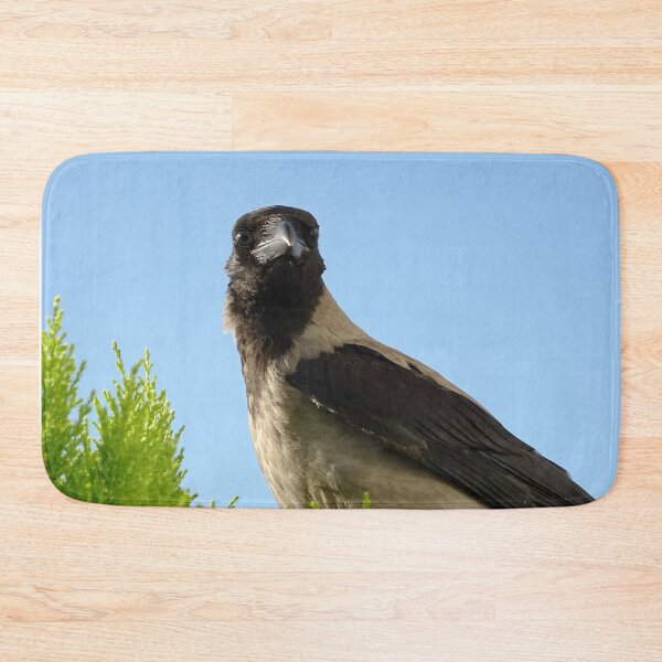 Item preview, Hooded crow designed and sold by Babbler01.