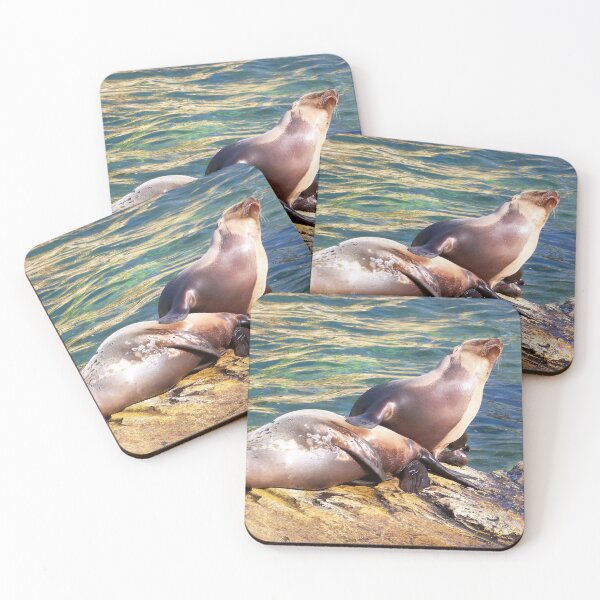 Item preview, Sea lions designed and sold by Babbler01.
