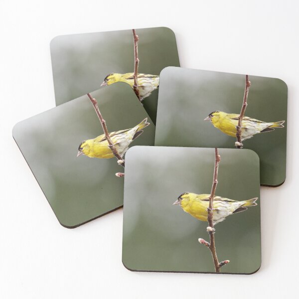 Item preview, Flagging. Eurasian siskin designed and sold by Jouko Lehto Photography.