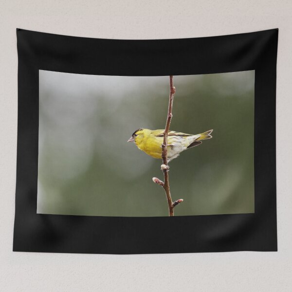 Item preview, Flagging. Eurasian siskin designed and sold by Jouko Lehto Photography.