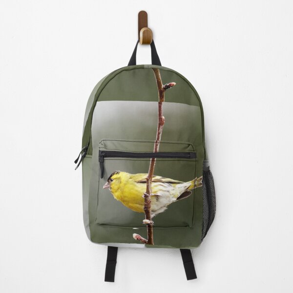 Item preview, Flagging. Eurasian siskin designed and sold by Jouko Lehto Photography.