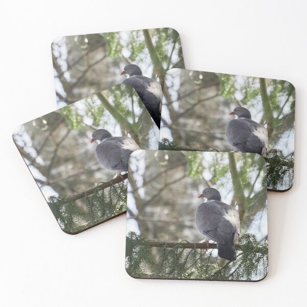 Item preview, Dreaming in the trees. Common wood pigeon designed and sold by Jouko Lehto Photography.