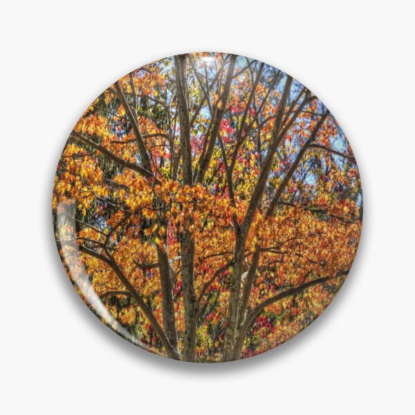 Item preview, New York Autumn Colours designed and sold by Londonimages.
