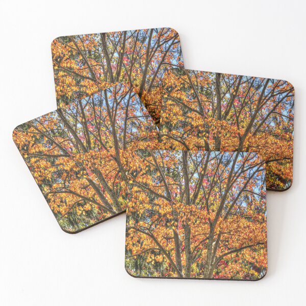 Item preview, New York Autumn Colours designed and sold by Londonimages.