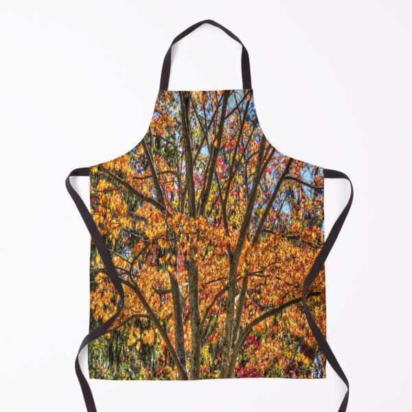 Item preview, New York Autumn Colours designed and sold by Londonimages.