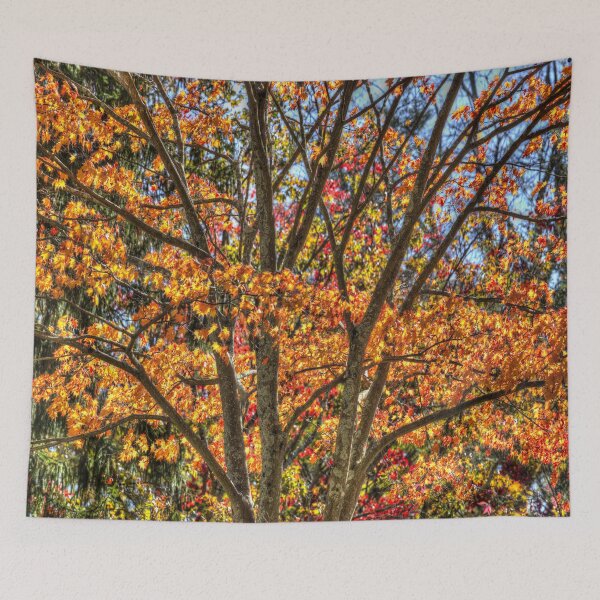 Item preview, New York Autumn Colours designed and sold by Londonimages.