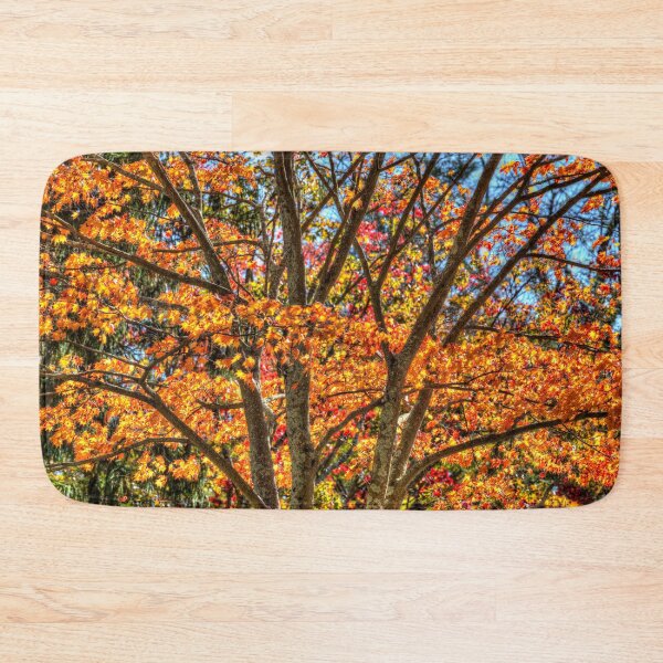 Item preview, New York Autumn Colours designed and sold by Londonimages.