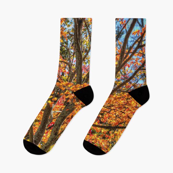Item preview, New York Autumn Colours designed and sold by Londonimages.