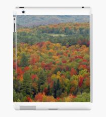 Fall landscape iPad Case/Skin