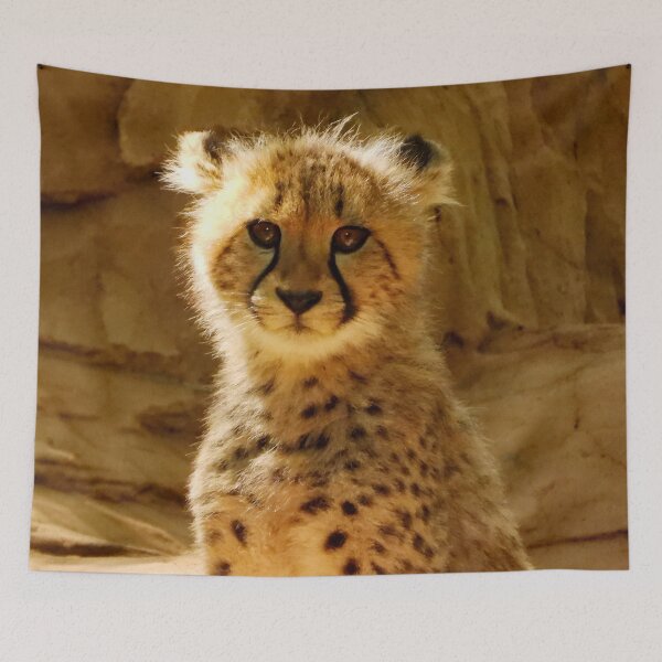 Item preview, A Gorgeous Cheetah Cub designed and sold by Karen Thomson.