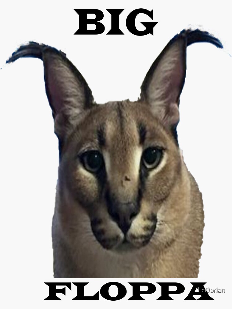 big floppa caracal｜Búsqueda de TikTok