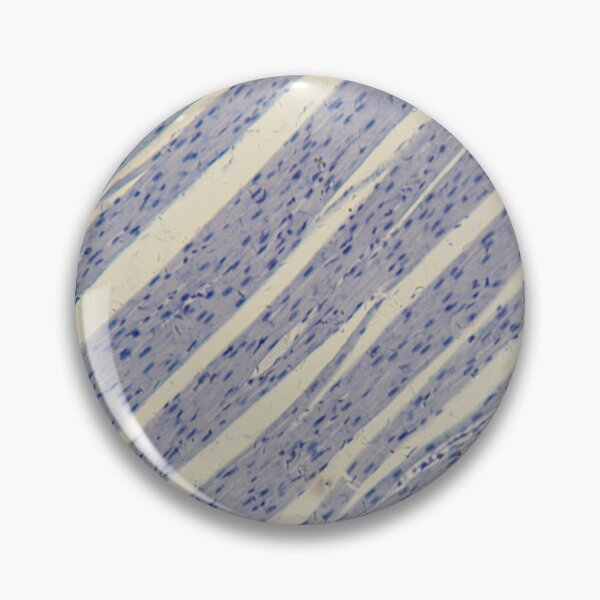Item preview, Human cardiac muscle under the microscope designed and sold by Zosimus.