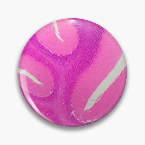 Item preview, Section of a human cerebellum under the microscope designed and sold by Zosimus.