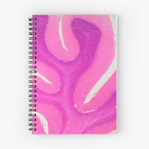 Item preview, Section of a human cerebellum under the microscope designed and sold by Zosimus.