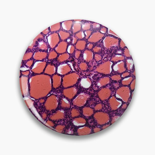 Item preview, Section of thyroid gland cells under the microscope designed and sold by Zosimus.