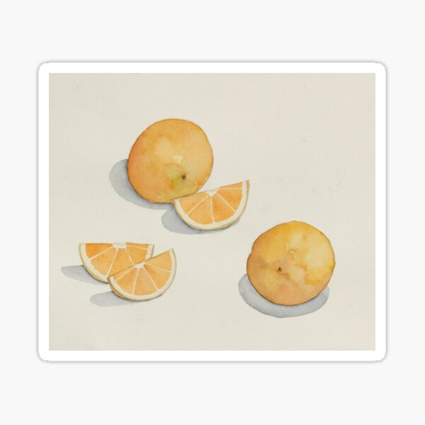 Watercolor Oranges Sticker