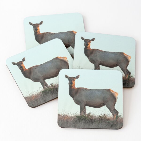 Item preview, Tule Elk Cow designed and sold by jvnimages.