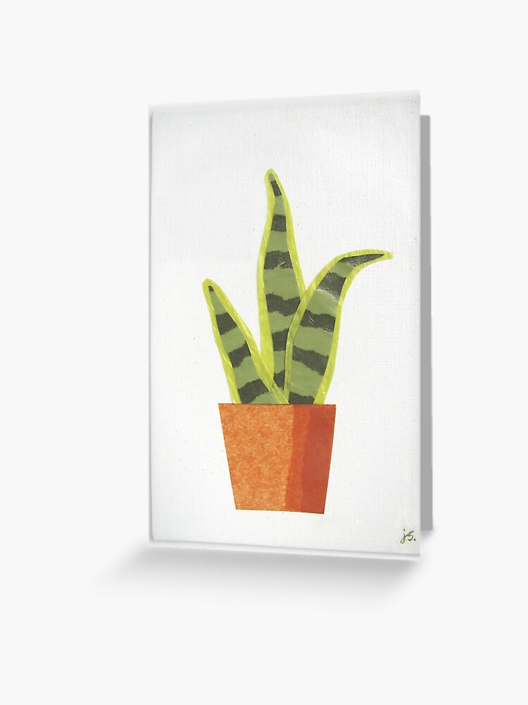 Tarjetas de felicitación «Sansevieria, suegra-lengua, planta serpiente» de  janasnyder | Redbubble