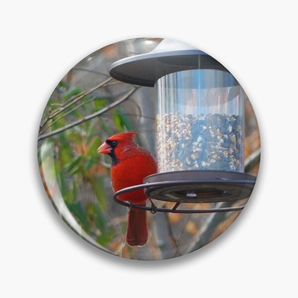 Item preview, Male Cardinal designed and sold by Frankie Cat Photography.