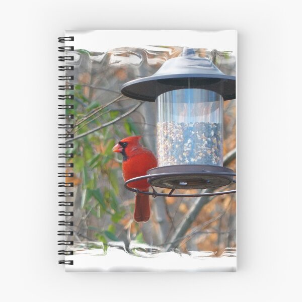 Item preview, Male Cardinal designed and sold by Frankie Cat Photography.