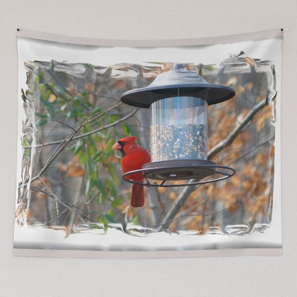 Item preview, Male Cardinal designed and sold by Frankie Cat Photography.