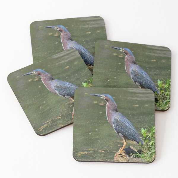 Item preview, Grayson The Green Heron designed and sold by Lanis Rossi.