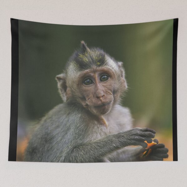 Item preview, Monkey See designed and sold by secondanchor.