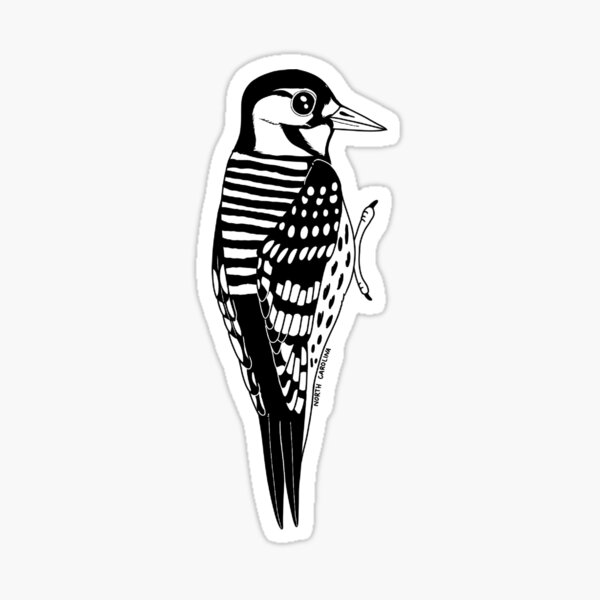 4R Quattroerre Sticker Woodpecker with Cigarette 10 x 12 cm - BigaMart