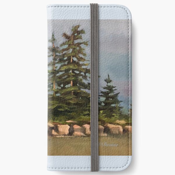 Northern Sky iPhone Wallet