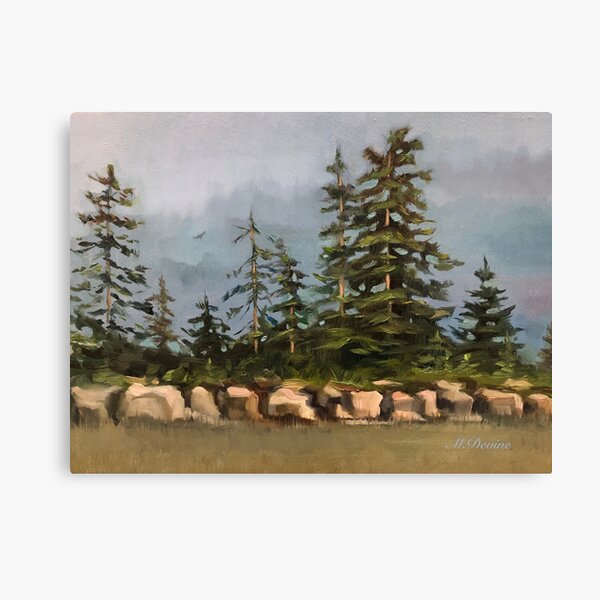 Northern Sky Canvas Print