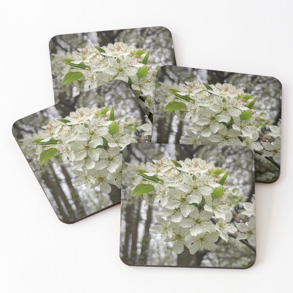 Item preview, The Blossoms of Callery Pear designed and sold by Max Kindly.
