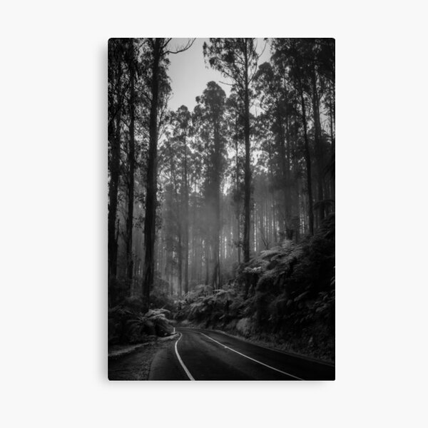 Black Spur 2 Canvas Print
