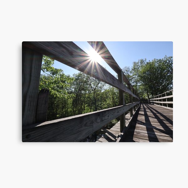 Canandaigua Hiking Trail Canvas Print