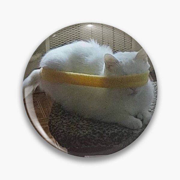 Item preview, Cat and Band designed and sold by chaoticvibes.