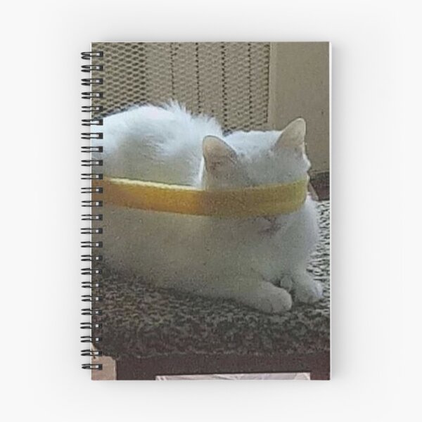 Item preview, Cat and Band designed and sold by chaoticvibes.