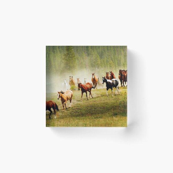 Item preview, Wild Horses, Horse,Horses,Riding,animal,horse art,horse posters,horse canvas,horse canvas,horse canvas art wall art,pony designed and sold by eyesight4vision.