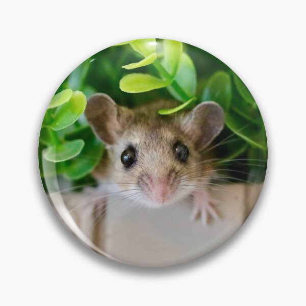 Item preview, Bramble in the Green designed and sold by Emmaline Jones.