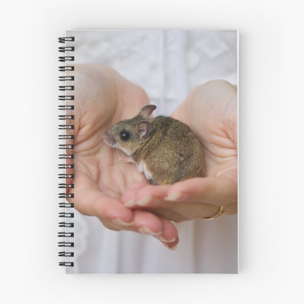 Item preview, A Mouse in the Hands designed and sold by Emmaline Jones.