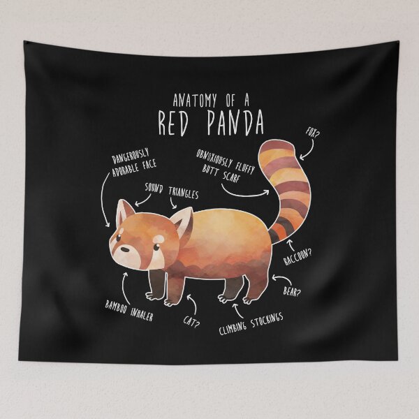 Item preview, Red Panda Anatomy designed and sold by Clara Hollins.