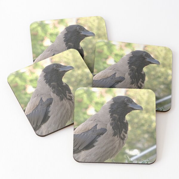Item preview, Hooded crow designed and sold by Babbler01.